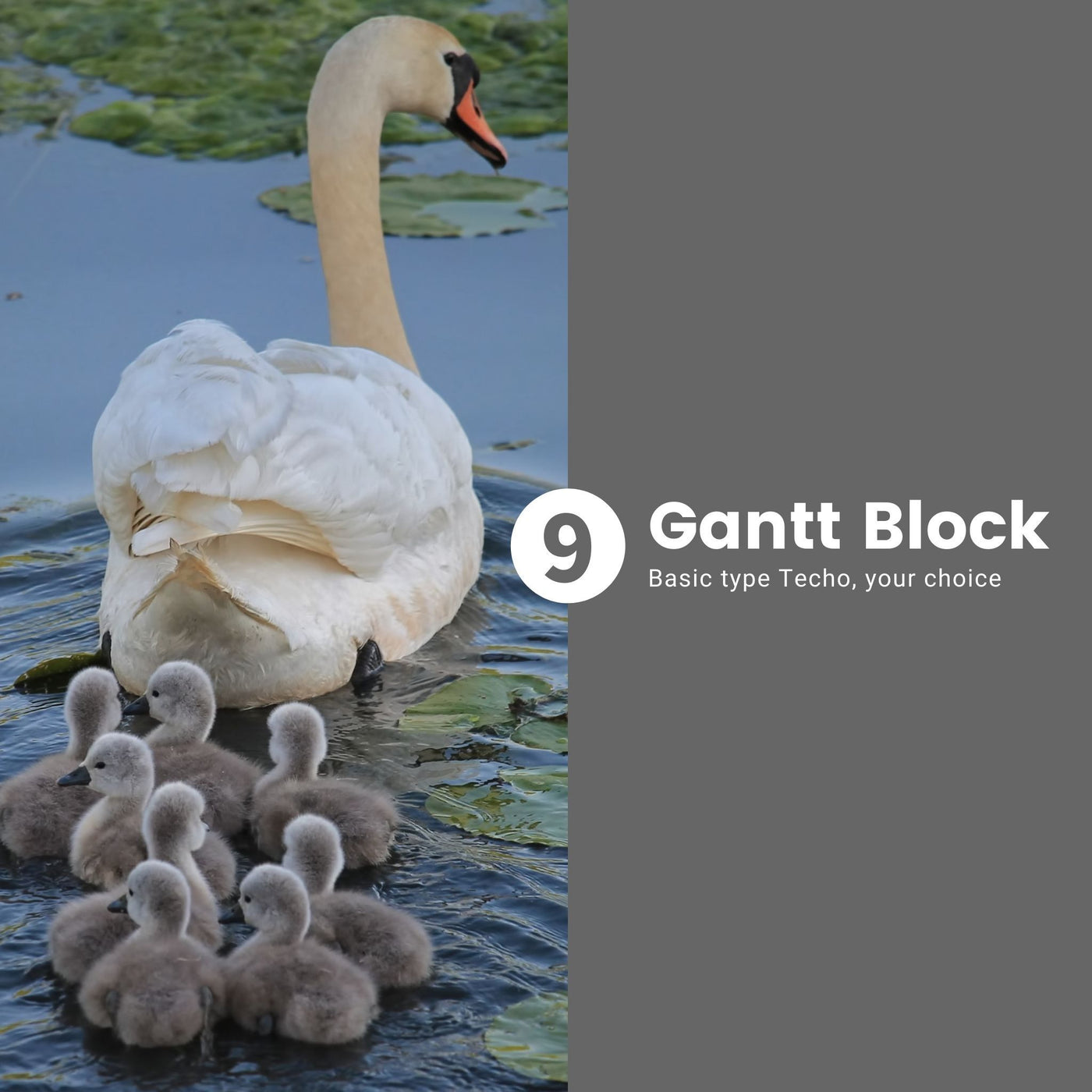Gantt Block / Basic Techo -09